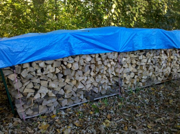 Tarp discount over firewood