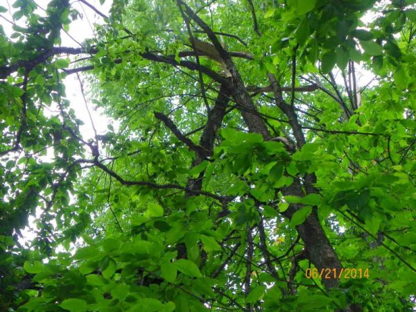 100_9367.JPG