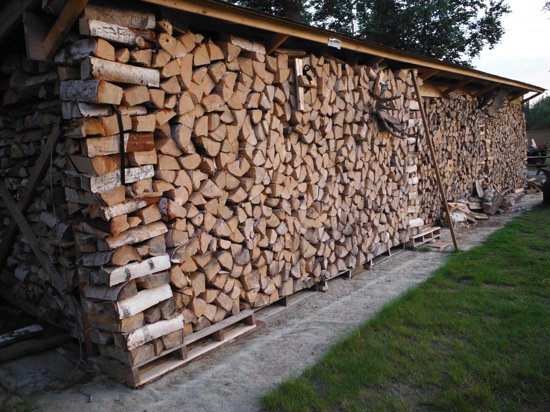 8-13 shed full.JPG
