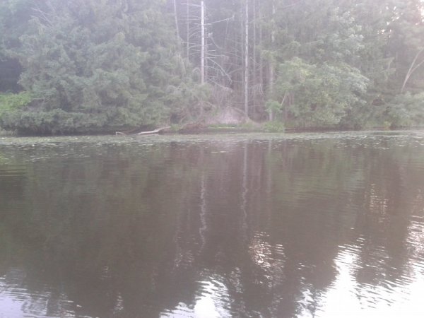 20140624_200835.jpg