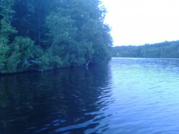 20140624_203739.jpg