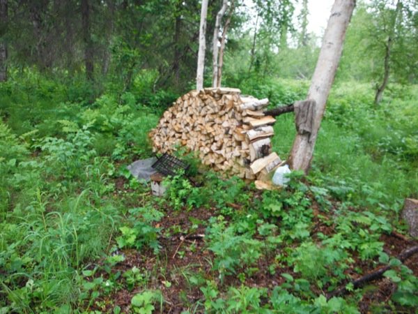 DSCF3330.JPG
