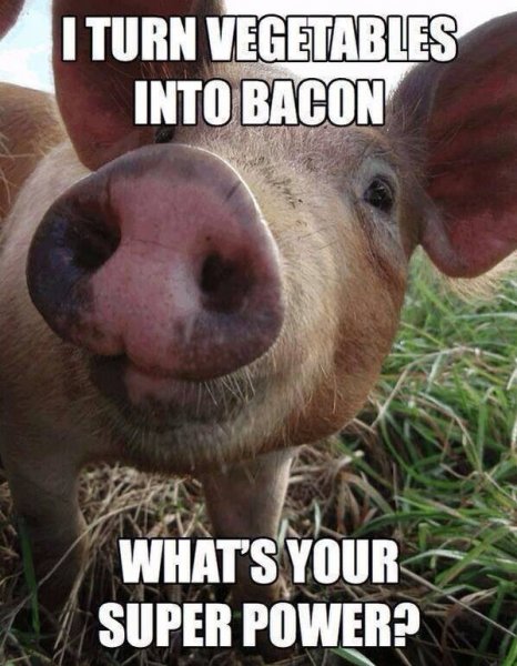 Bacon1.jpg