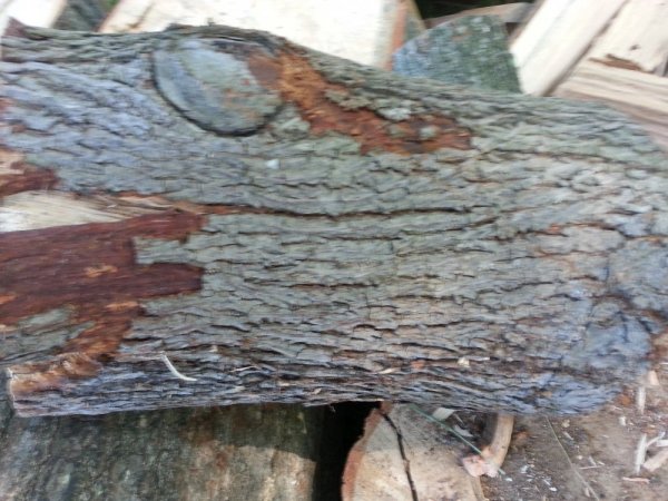 20140627_091556.jpg