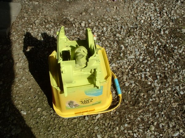 limegreen505 004.JPG