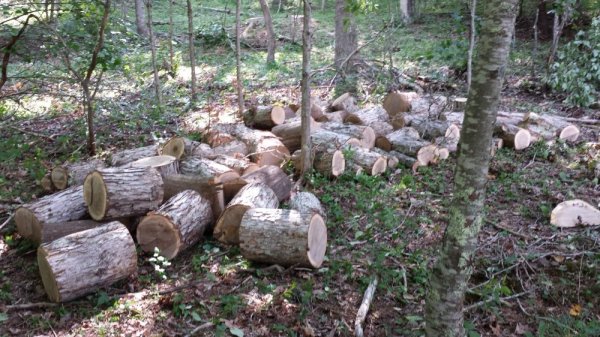 20140628_155504.jpg