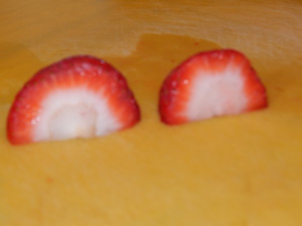 DSCN0644.JPG