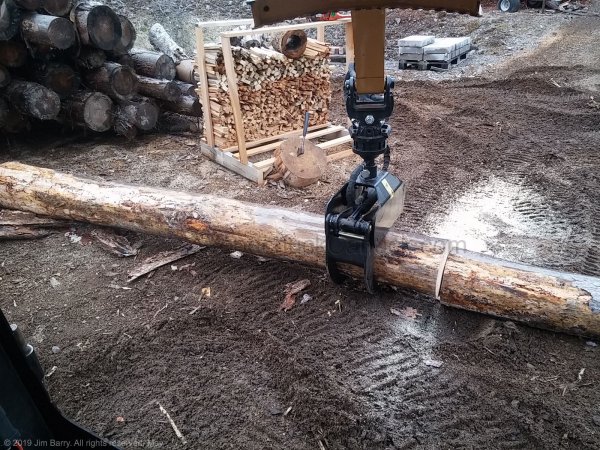 20190511-grapple-pine-logs.jpg