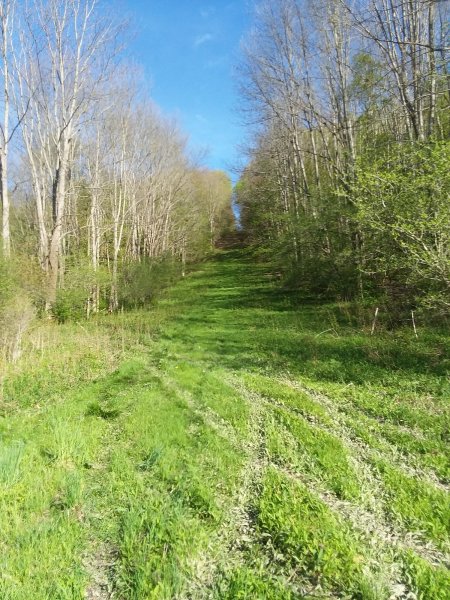 20190511_174917.jpg