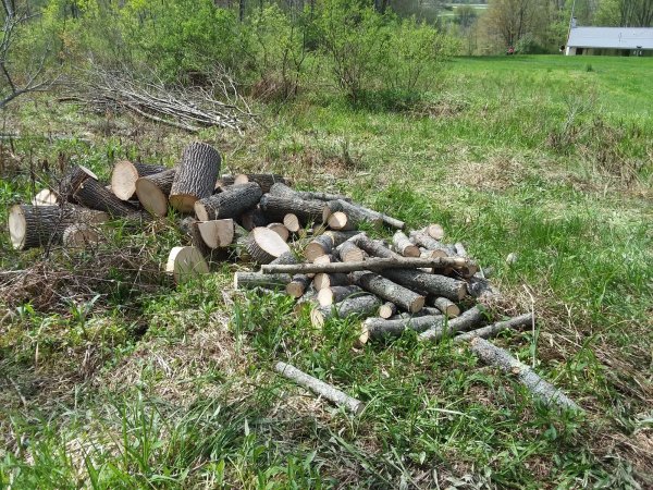 20190511_153156.jpg