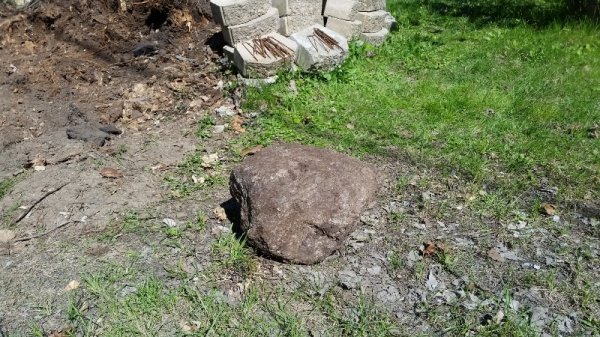 Rock under stump.jpg