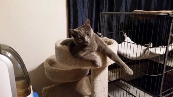 rainey comfy - 2.jpg