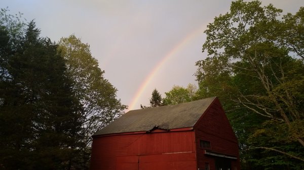 20190516_193334.jpg