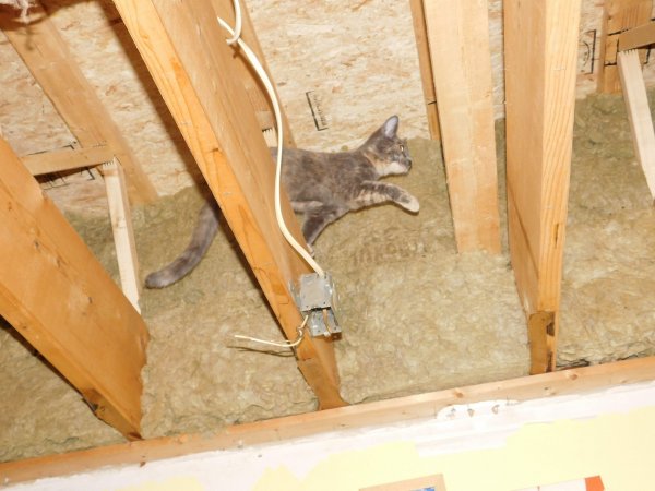 Slash in the trusses.JPG