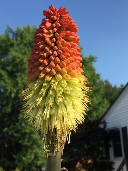 0AAC077C-132B-4705-955C-6E00AE6A3F32.jpeg
