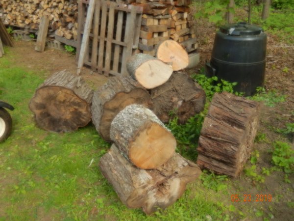DSCN2175.JPG