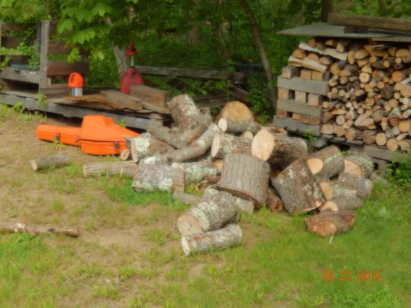 DSCN2176.JPG