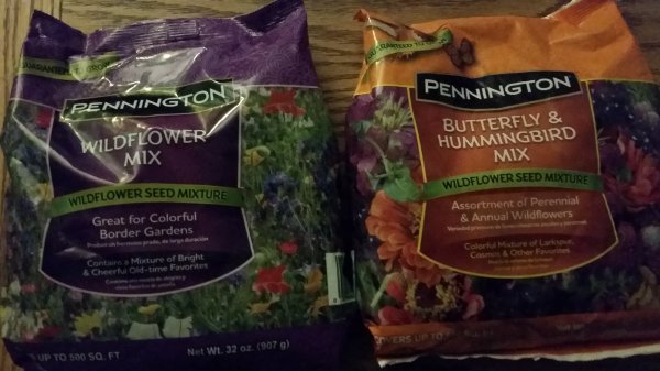 20190524_045916.jpg