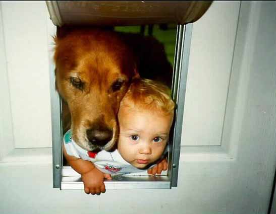 Kid-dog door.jpg