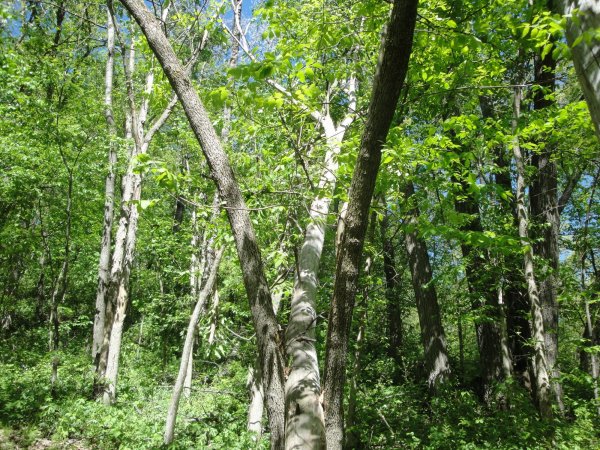 DSC03496.JPG