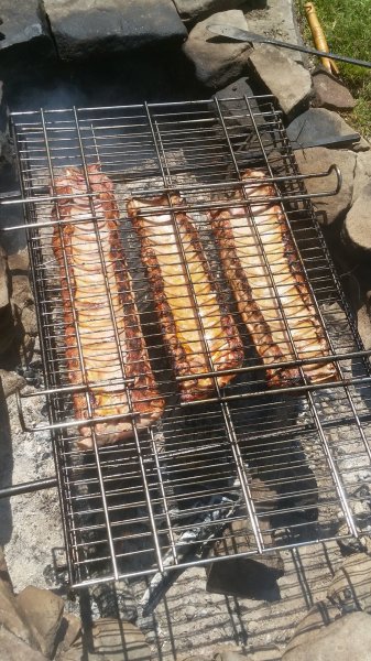 20190527_124111.jpg