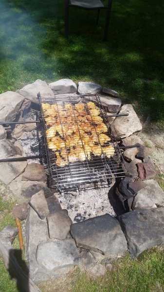 20190527_121747.jpg