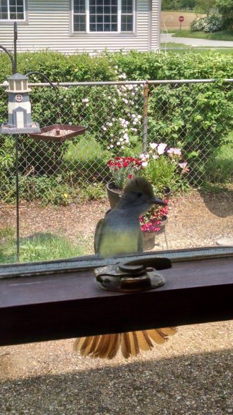 IMG_20190531_121733388_HDR.jpg