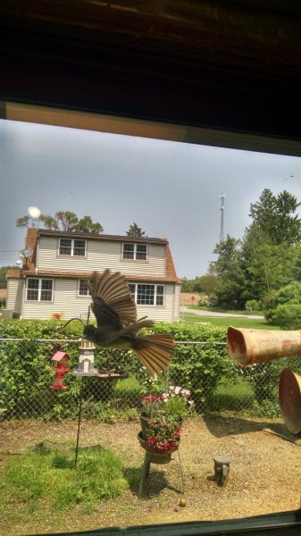IMG_20190531_121825850_HDR.jpg
