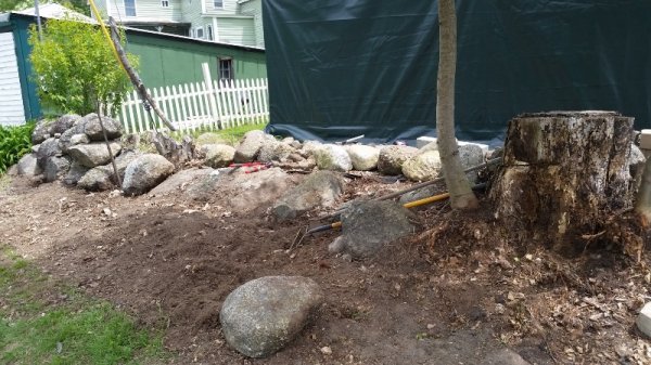 future fron garden 1.jpg