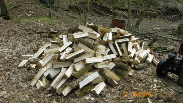 101_9060.JPG