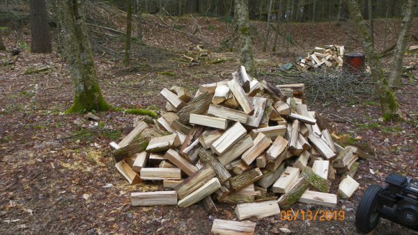 101_9084.JPG