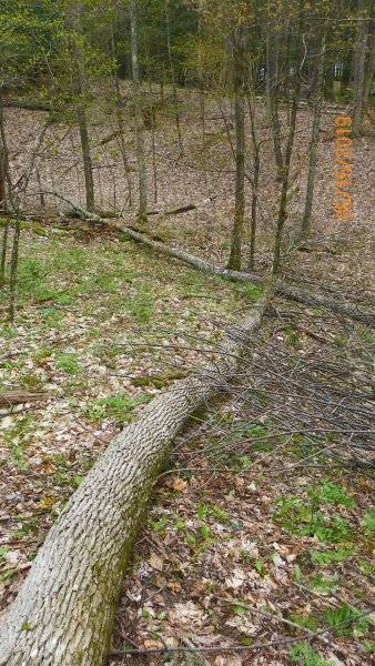 101_9095.JPG