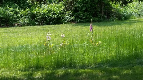 20190602_141121.jpg