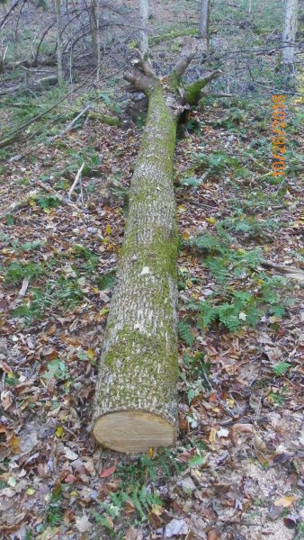 101_2026.JPG
