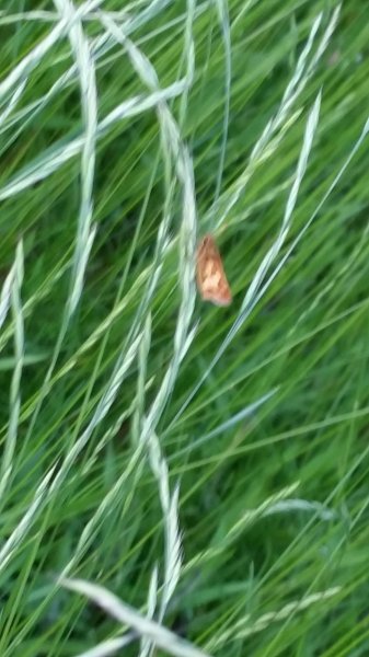 20190606_191222.jpg