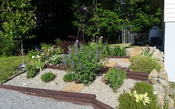 Garden by garage 6-12-19.jpg