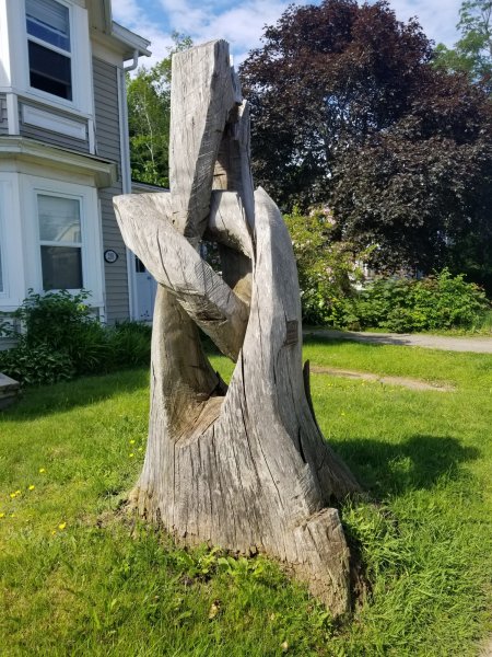 20190620_084722.jpg
