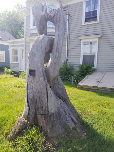 20190620_084734.jpg