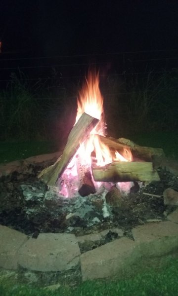 20190621_225159.jpg