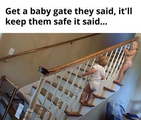 Baby gate.jpg