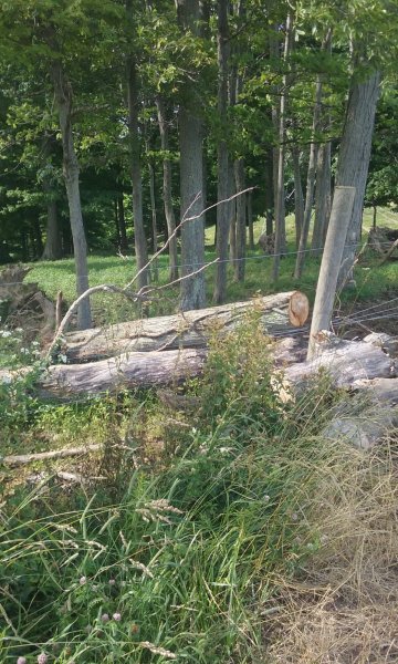 20190626_171343.jpg