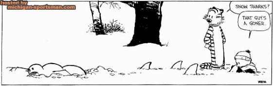 calvin_and_hobbs_6.jpg