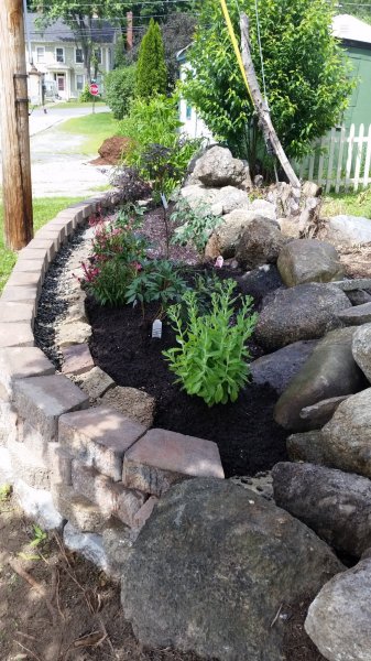 garden from side - after compost.jpg