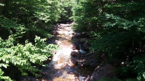 20190703_112515.jpg