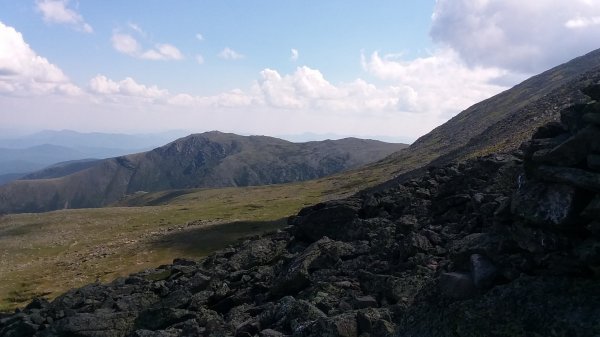 20190703_150637.jpg
