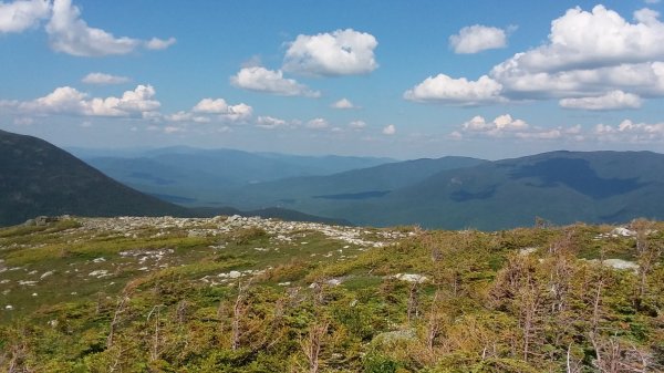 20190703_152725.jpg