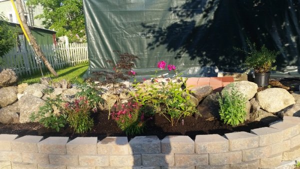 Roadside garden with phlox added.jpg