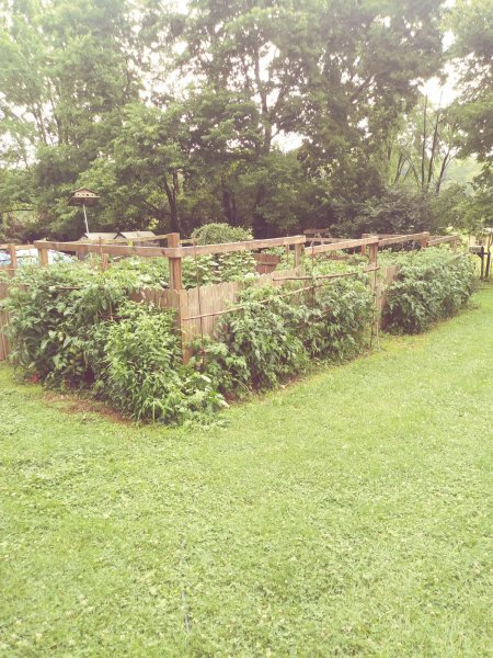 20190703_181957_Film4.jpg