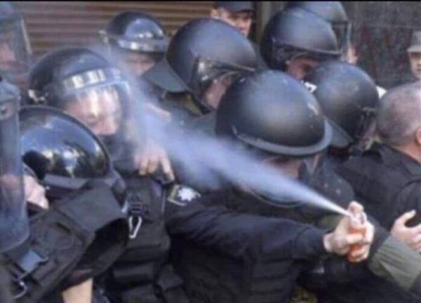 0zu11um.jpg
