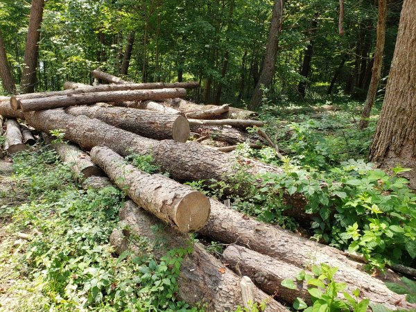 00u0u_8tt4IgWfXVF_1200x900 (1).jpg